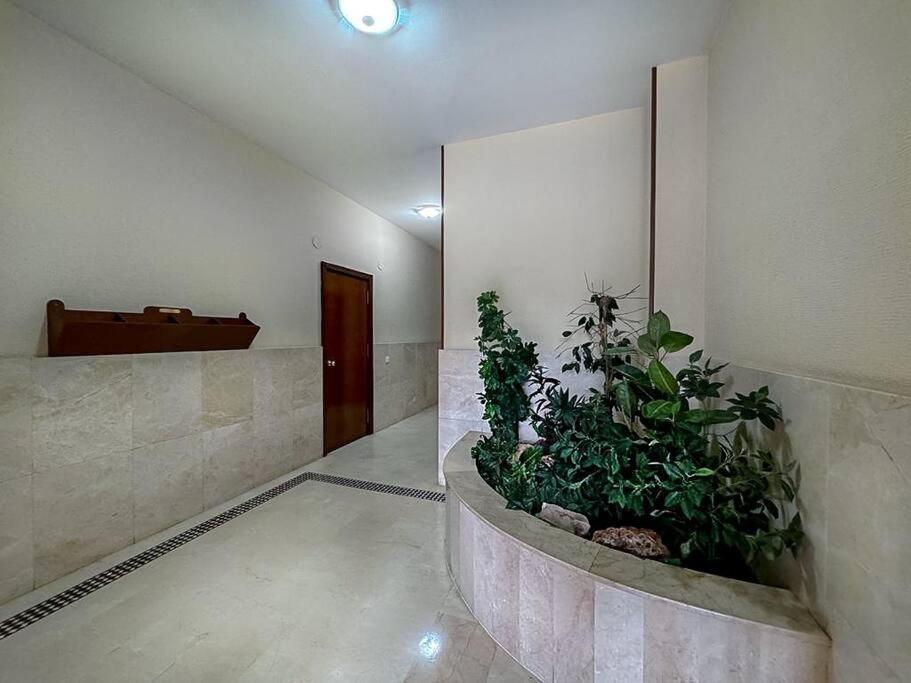 Apartamento En La Estacion De Trenes ヘレス エクステリア 写真